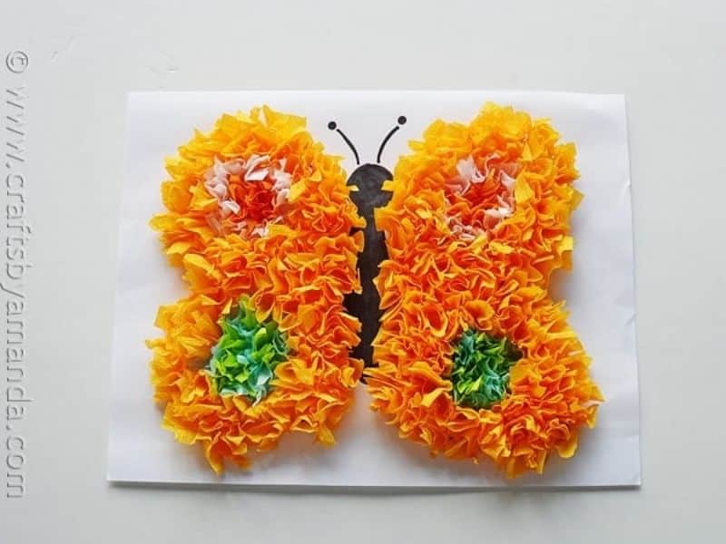 tissue paper butterfly craft