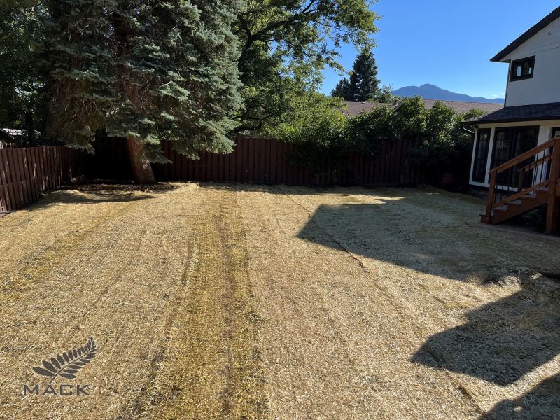 Boulder Colorado Pool Removal