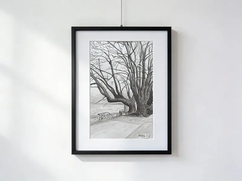 Acquerello dei quattro platani storici vicino al Debarcadero di Locarno, con tronchi imponenti, rami intrecciati, parapetto e Lago Maggiore sullo sfondo; opera con passepartout e cornice nera, dimensioni esterne 30 × 40 cm.