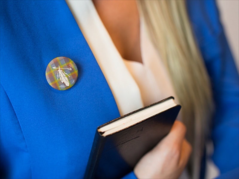 przypinka z piórkiem