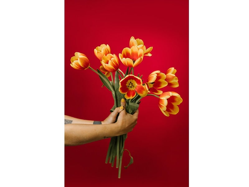 Tulpen