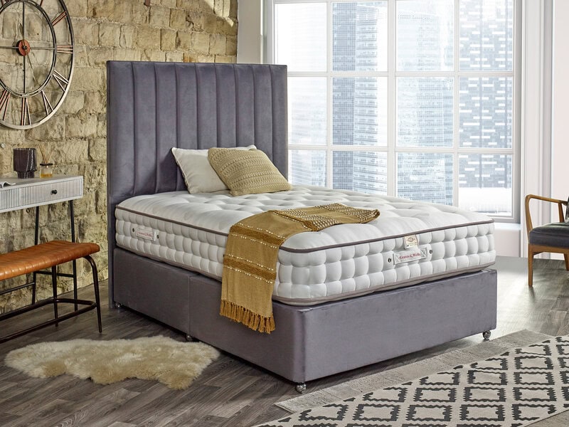 Connoisseur 2000 Support