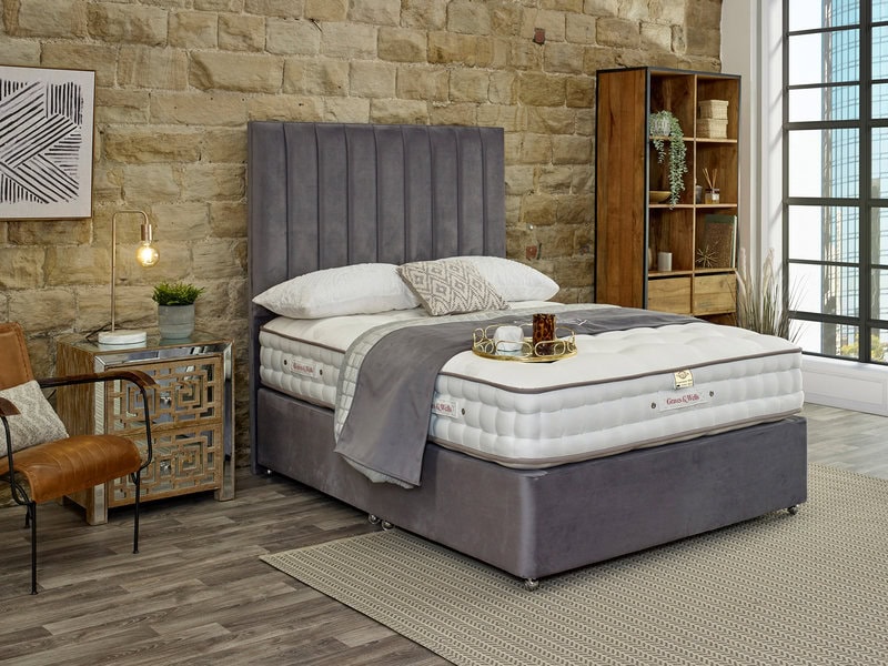 Connoisseur 3000 Comfort