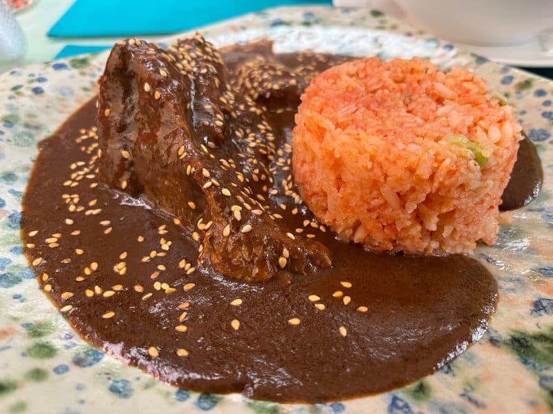 plate of chicken mole coloradito