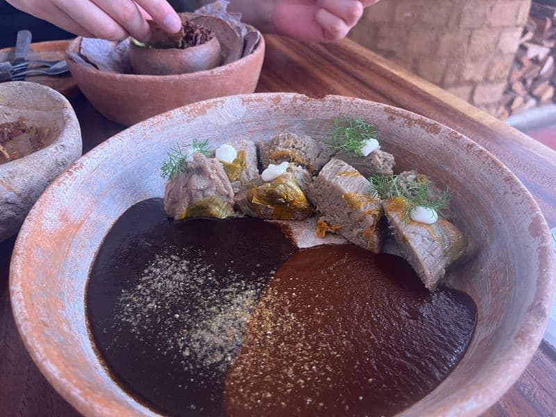 plate with two kinds of oaxaca mole