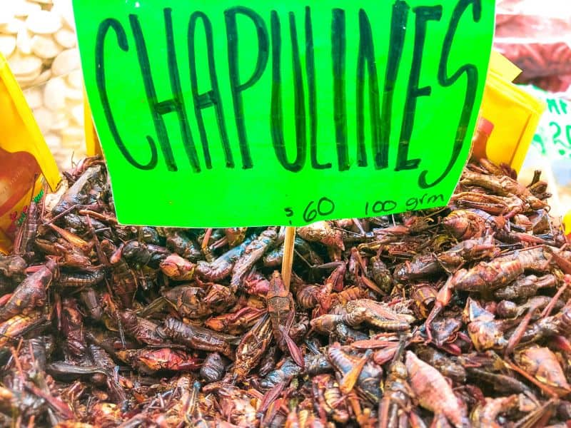 chapulines mexican grasshoppers for sale in a market
