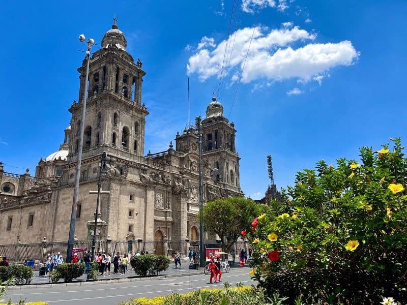 cathedral in mexico city