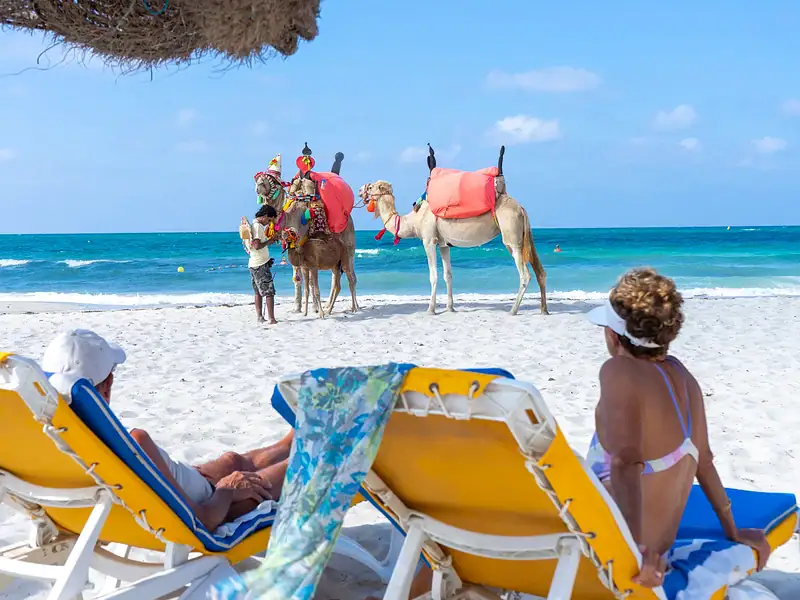 Luxury Accommodations