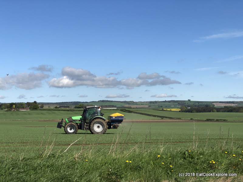 Elie Fife Farms