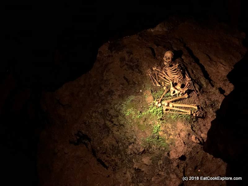 Cheddar Man- The dark-skinned original Briton
