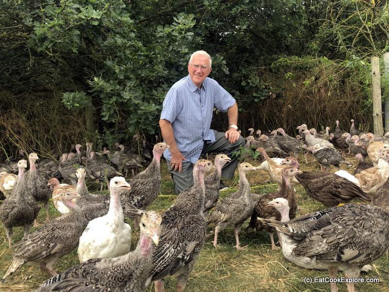 Derek Kelly Kelly Bronze Turkeys Derek Kelly Kelly Bronze Turkeys