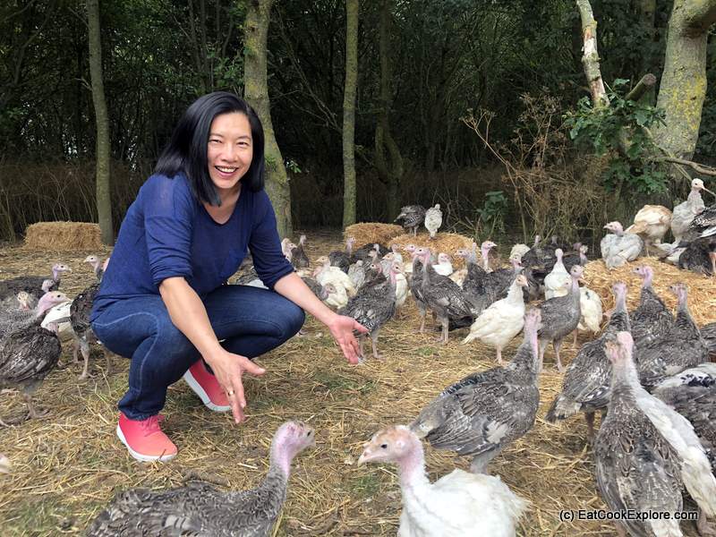 Free range Kelly Bronze Turkey 