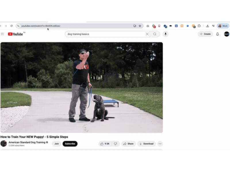 Interfata AI Media Machine
