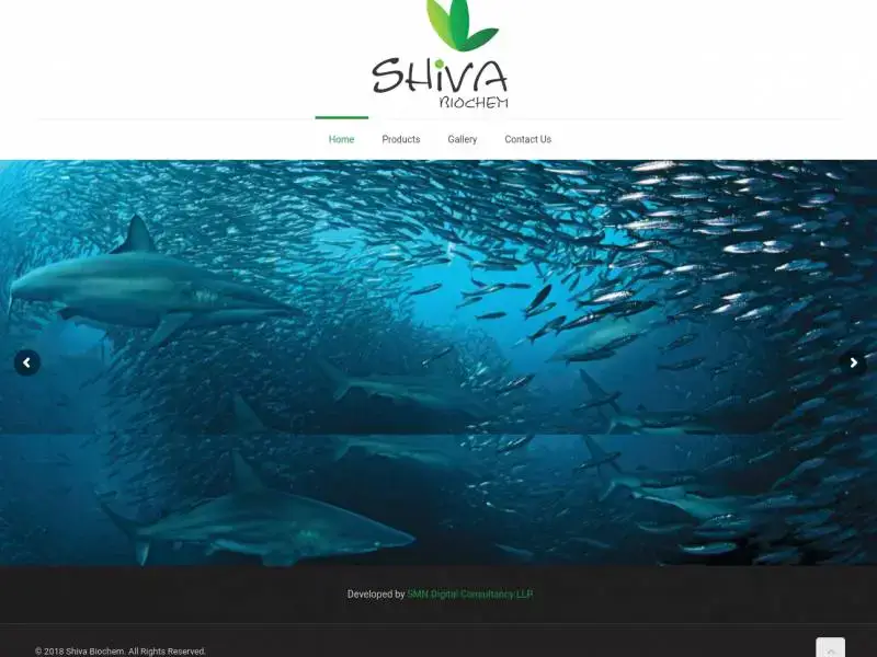 Shiva Biochem Website – SMN Digital Consultancy