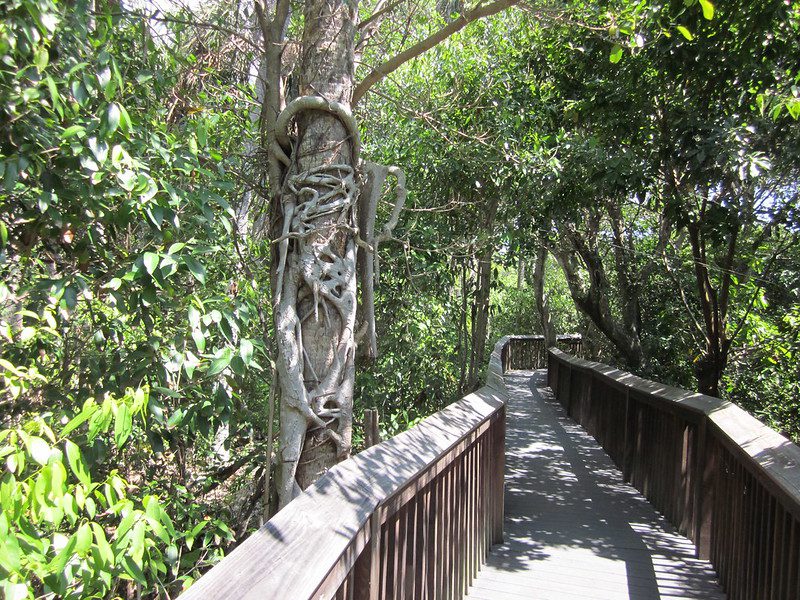 Daggerwing Nature Center