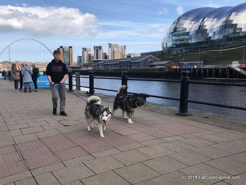Newcastle Gateshead Quayside