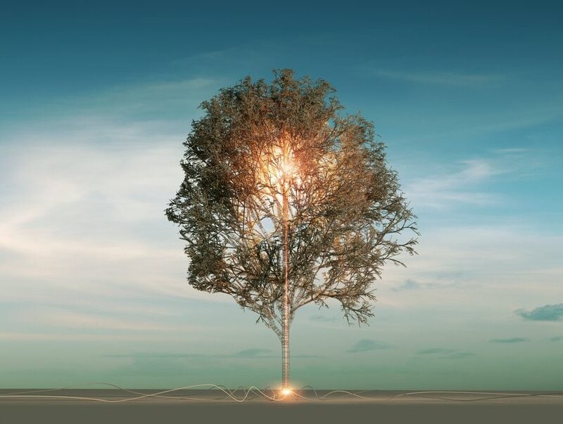 leadership transition