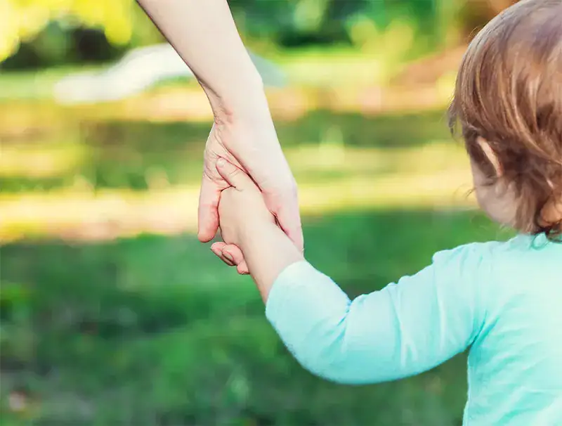 The Emotional Life of the Toddler