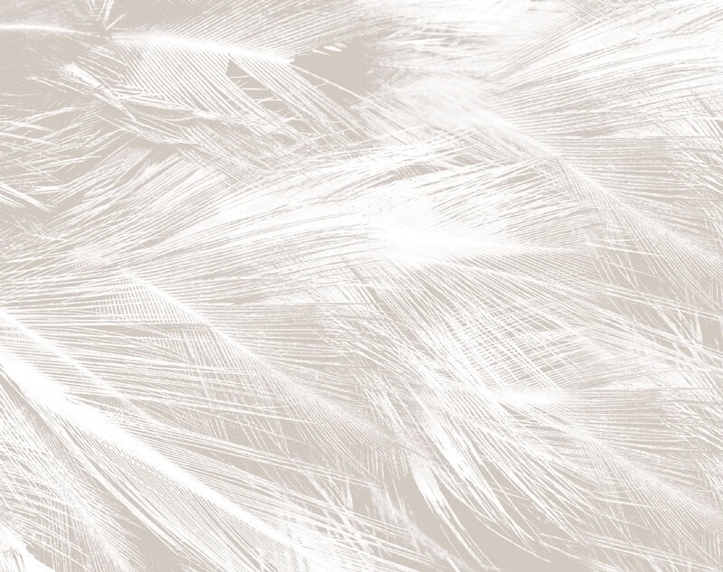 PLUMAS
