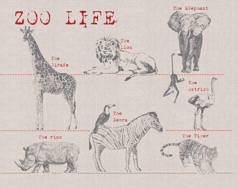 Zoo Life