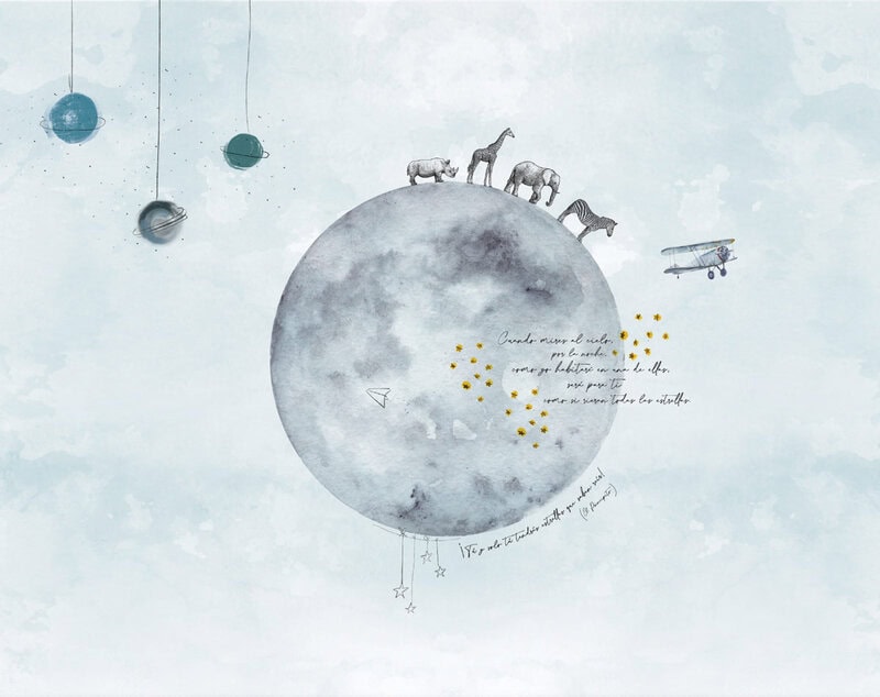 Principito Luna Animales