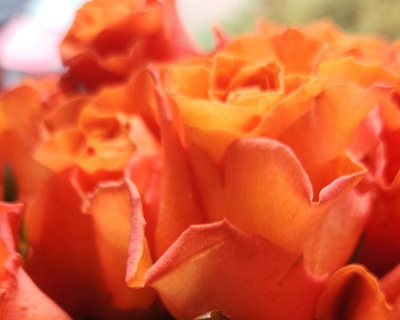 Yogatrainerinnen Ausbildung Abschlussmodul Blumengruesse