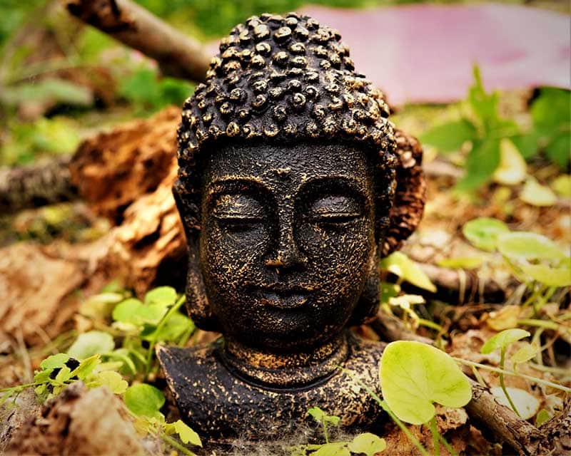 Mentalcoaching | Erlerne mit mir Meditationstechniken