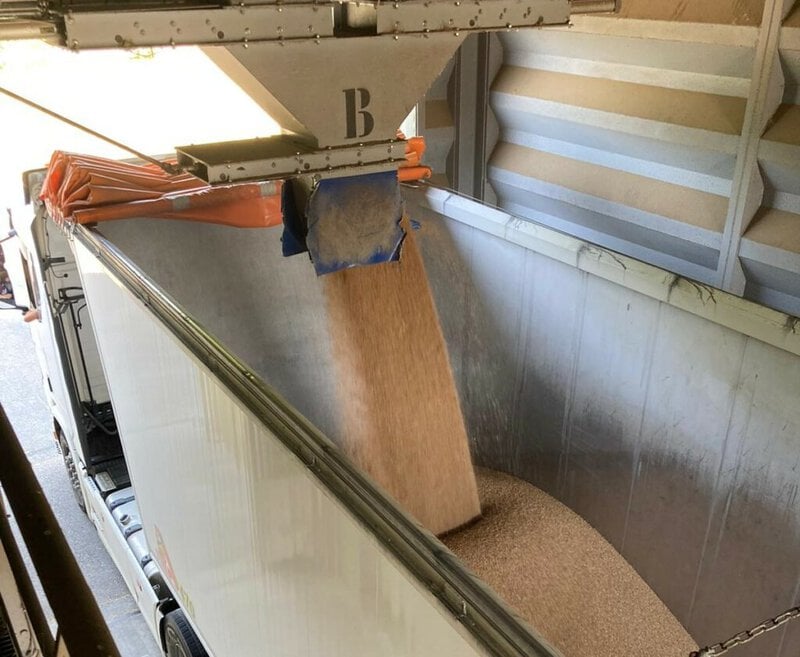 Stockage grain silo
