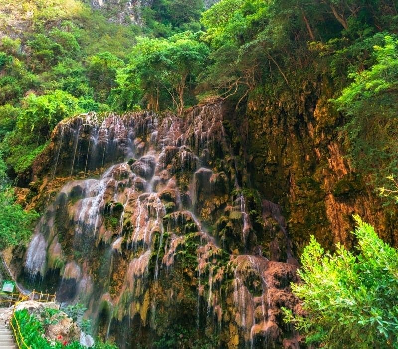 pequeña cascada en un bosque - Visite Las Grutas Tolantongo