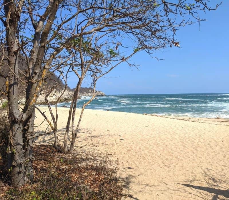 playa tejon beach huatulco mexico