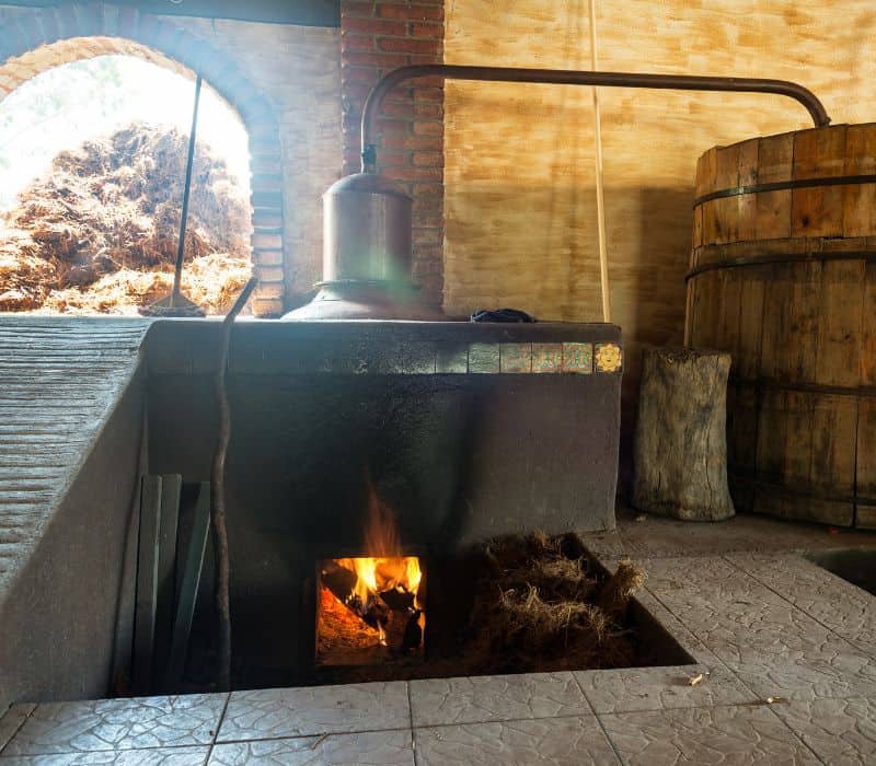 mezcal making process in oaxaca city