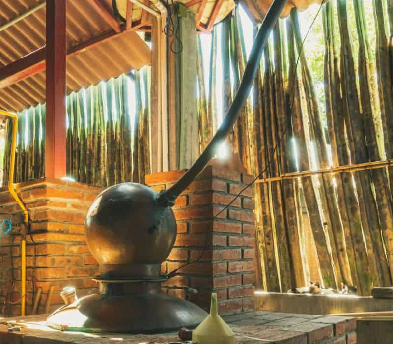 still at a oaxaca mezcal distillery (called a palenque)