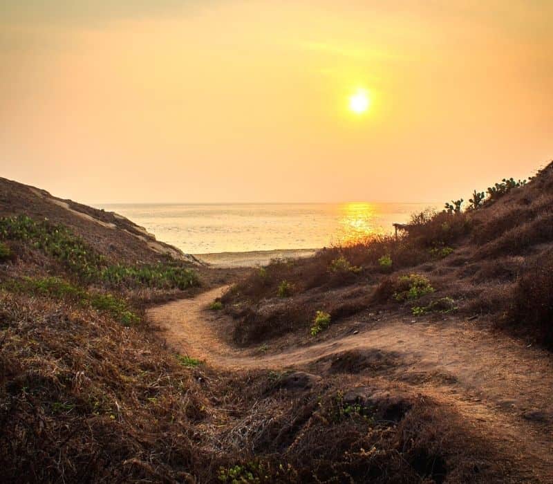 pathway to the ocean (punta cometa in mazunte mexico)