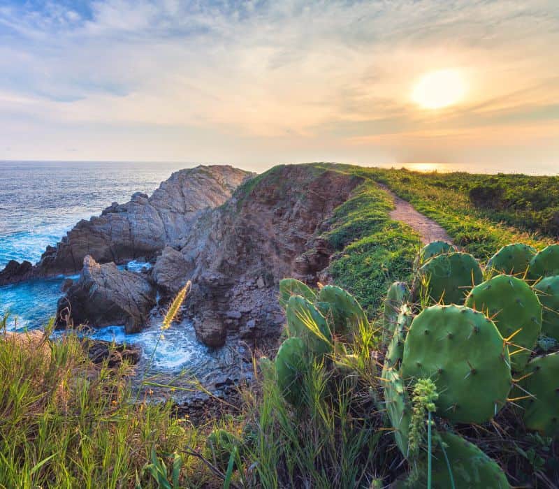 punta cometa trail