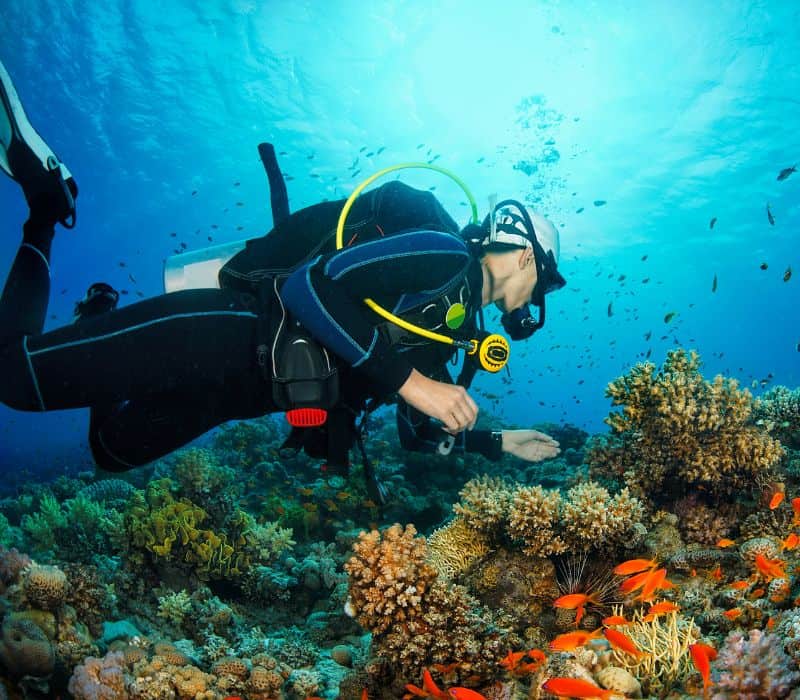 person diving in huatulco mexico
