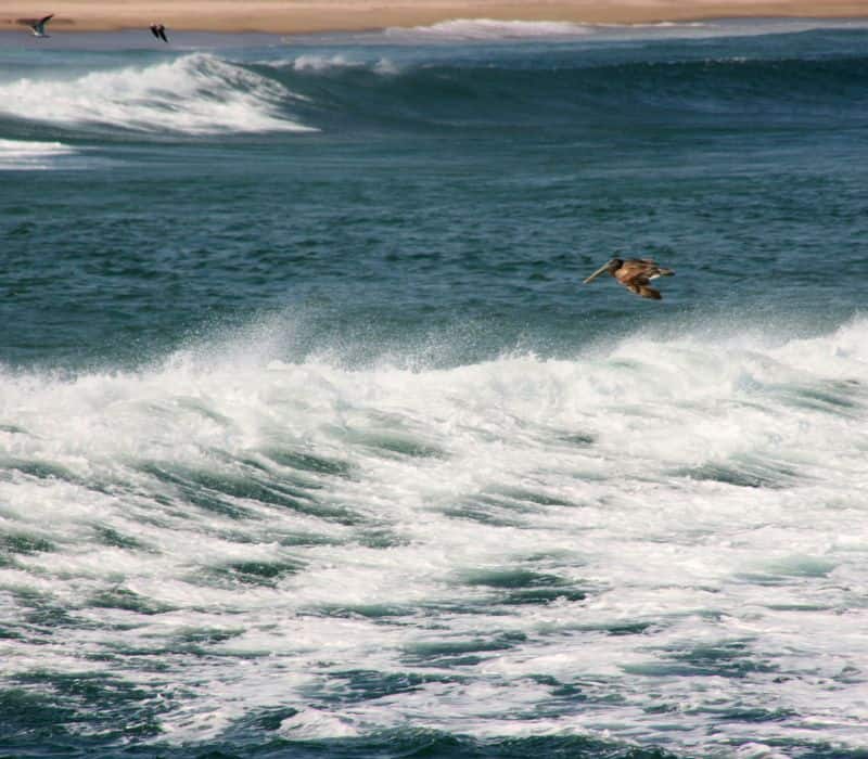 beach in Chacahua National Park