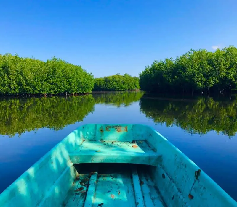 boating through the mangroves in chacahua oaxaca mexico