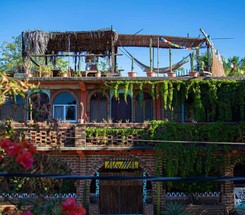 exterior view of Hostal Akulam La Paunta, with plants hanging on the wall