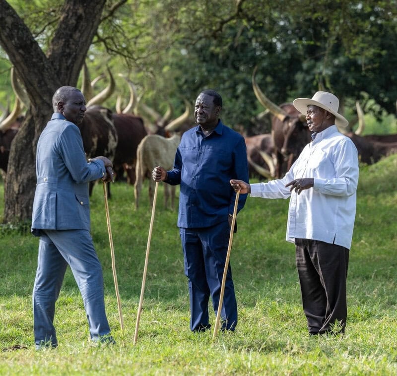 President Museveni Meets Kenya’s President Ruto And His Archrival Former Prime Minister Odinga unnamed (1)