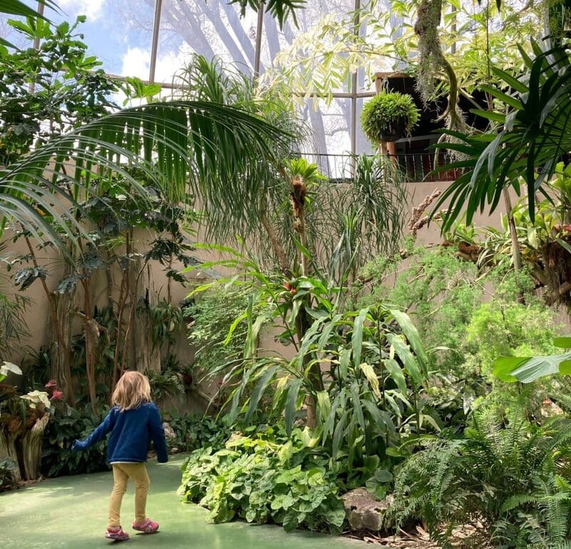 The jungle dome in the Reptile Gardens, South Dakota
