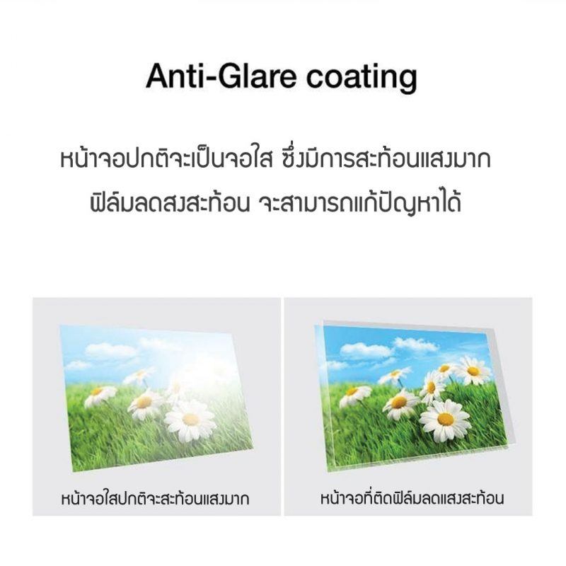 ฟิล์มกันรอยแบบด้าน