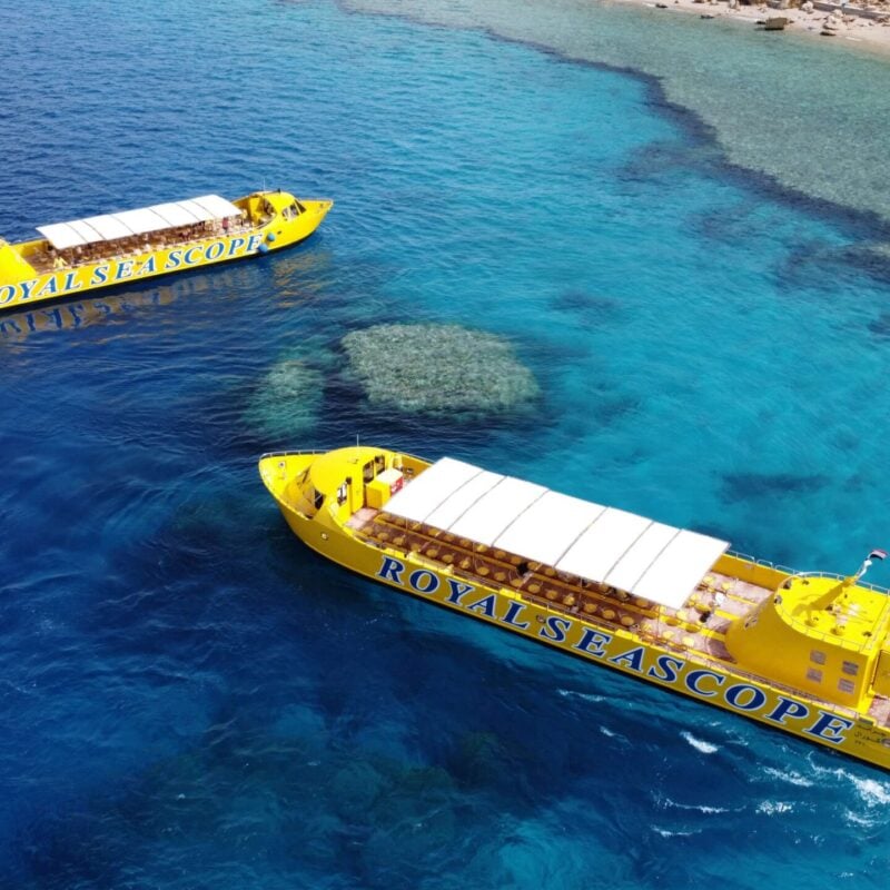 Sea Scope Sharm: 1,5 kouzelné hodiny pod hladinou Rudého moře