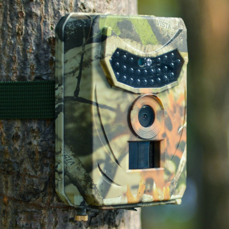 wildlife camera