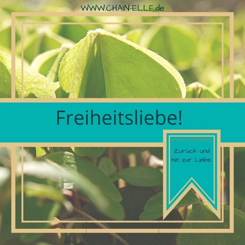Freiheitsliebe