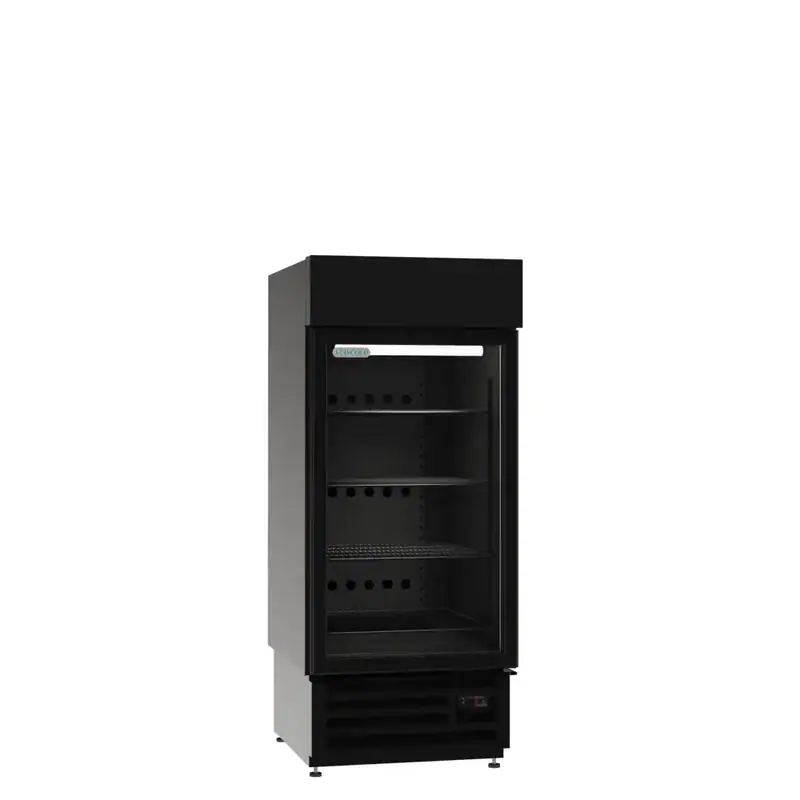Display Freezer