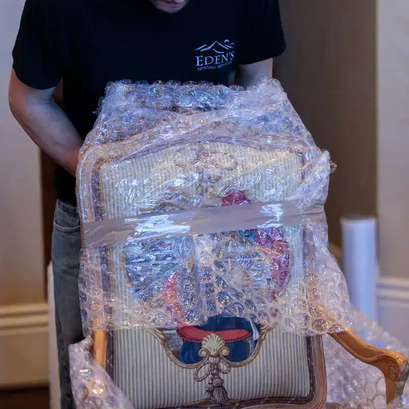 professional movers
