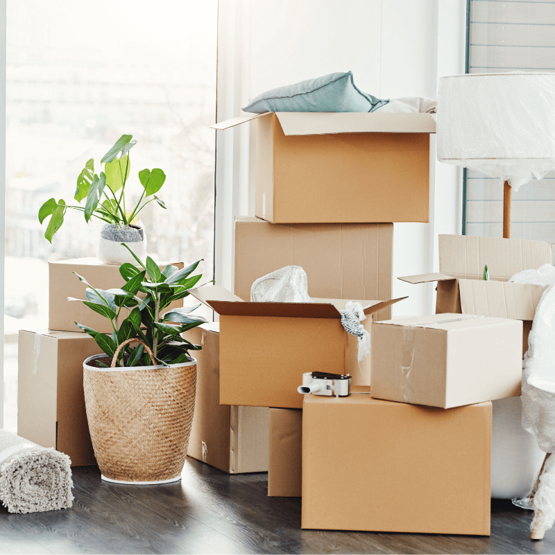 fccleaning_services_official