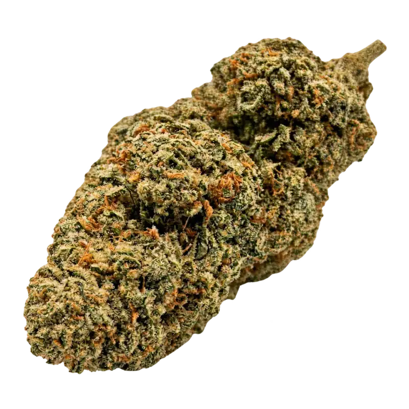 Cali CBD-Blüten kaufen – laborgeprüft in Bio-Qualität