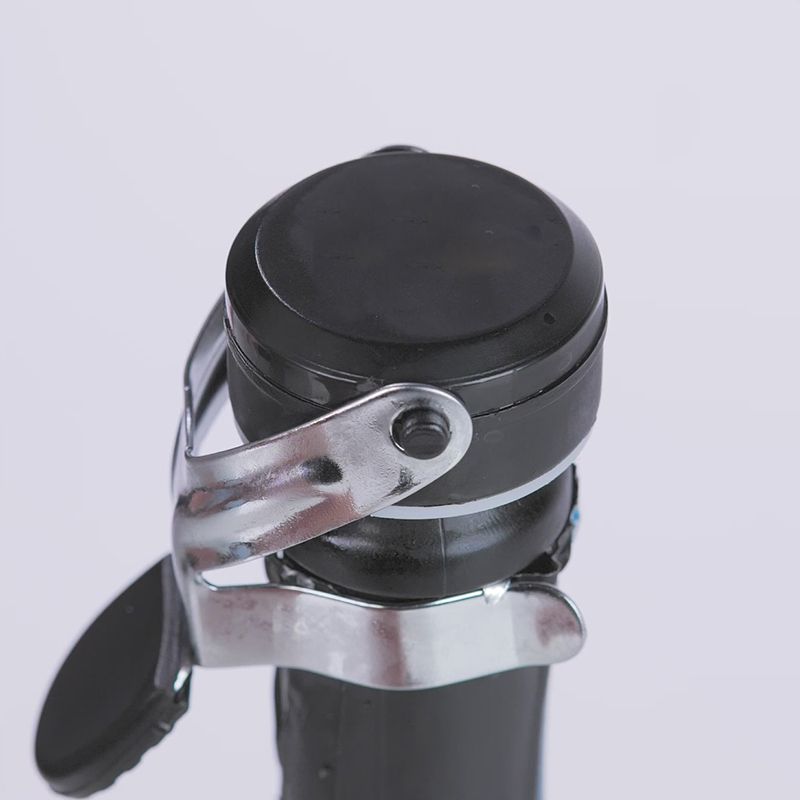 Black Champagne Bottle 3 black champagne bottle stopper