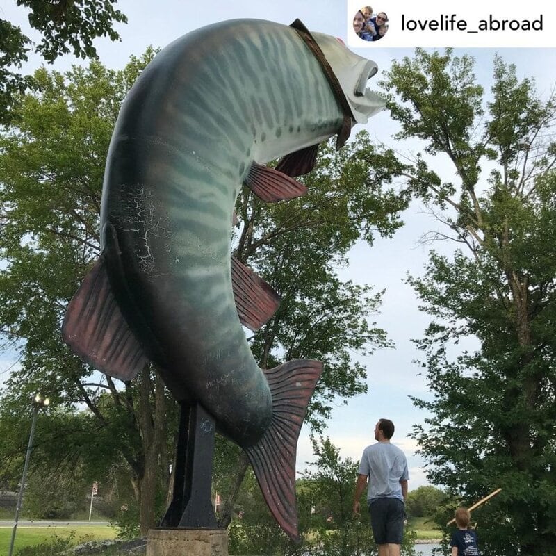 A father shows a giant sculpture of a fish to his son. There is a park in the background.